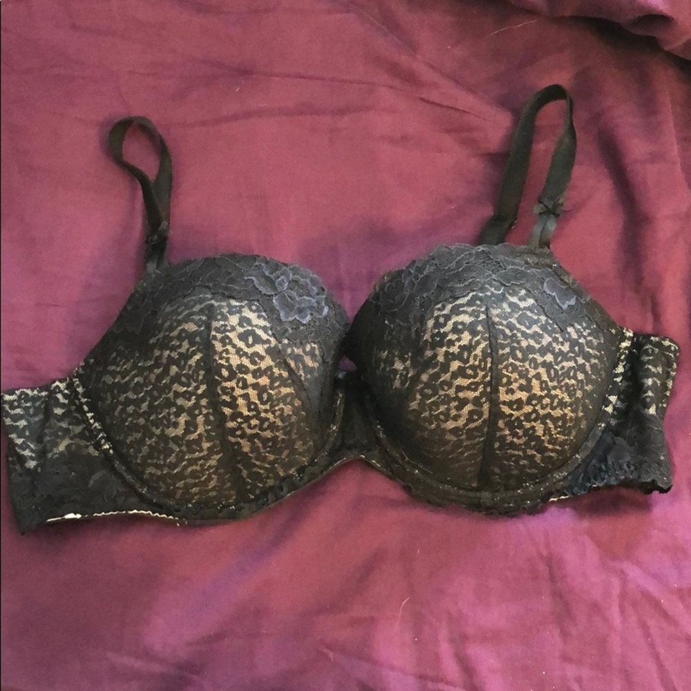 Torrid Bra